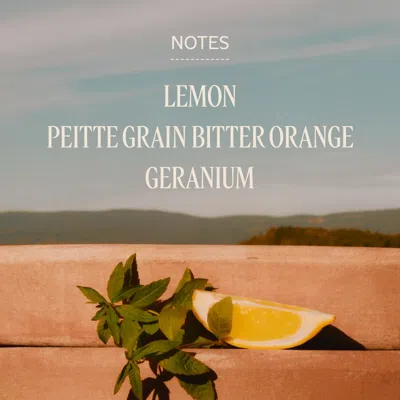 L'occitane - Verbena Eau De Toilette 3.3 Fl oz In Transparent