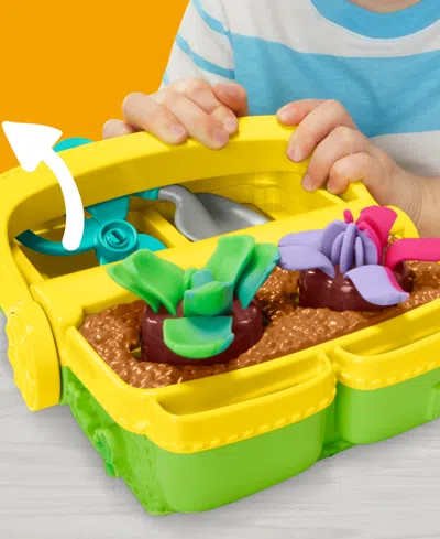 Play-doh Blooming Flowers In Transparent