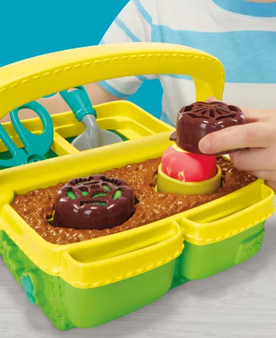 Play-doh Blooming Flowers In Transparent