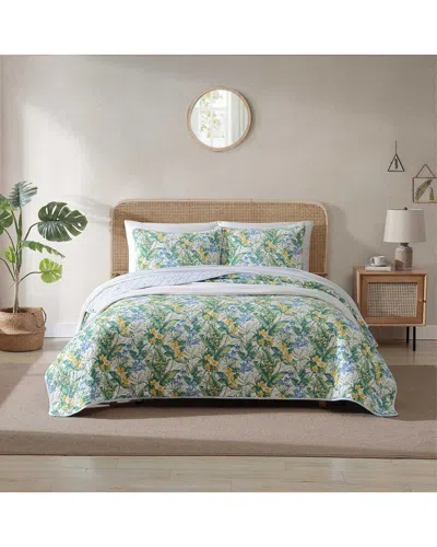 Tommy Bahama Paradise Point Cotton Reversible Quilt Set In Green