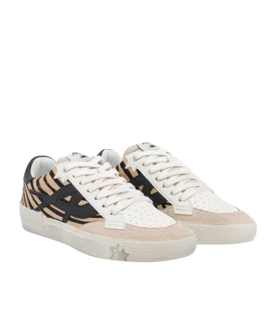 Ash Contemporary Low Top Sneakers With Contrast Panels In Brown