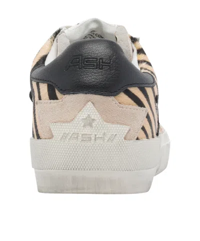 Ash Contemporary Low Top Sneakers With Contrast Panels In Brown