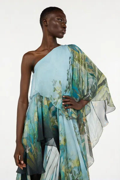 Roberto Cavalli Asymmetric Floral Print One Shoulder Dress In Multi