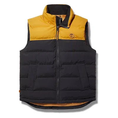 Timberland Jackets And Jackets Man  Tb0a22xmp571 - Welch Mnt Puffer Vest P571 Wheat/black In Black