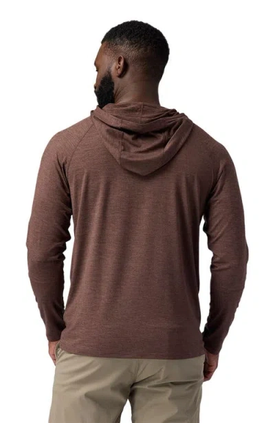 Backcountry Destination Pullover Hoodie In Brown