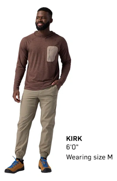 Backcountry Destination Pullover Hoodie In Brown