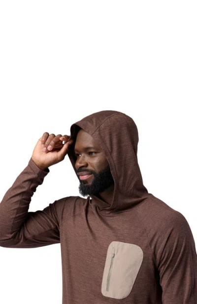 Backcountry Destination Pullover Hoodie In Brown