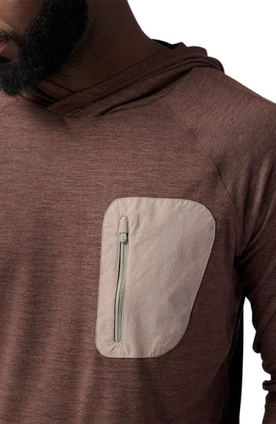 Backcountry Destination Pullover Hoodie In Brown