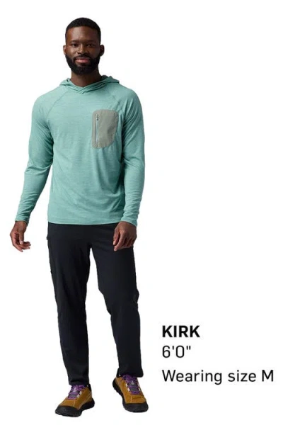 Backcountry Destination Pullover Hoodie In Green