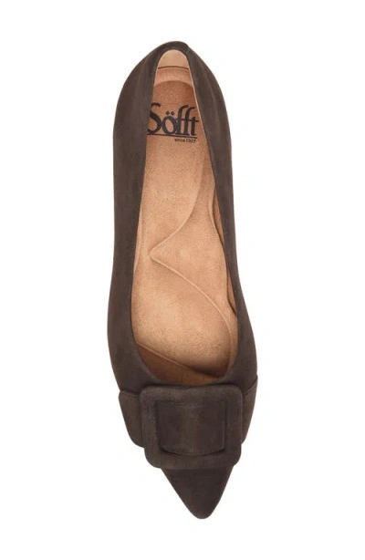 Söfft Sadie Pointed Toe Kitten Heel Pump In Brown