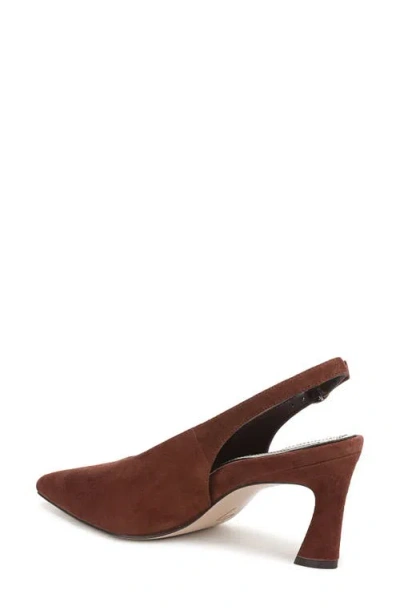 27 Edit Naturalizer Elaine Slingback Pointed Toe Pump In Multi