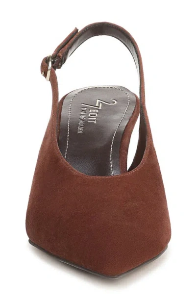 27 Edit Naturalizer Elaine Slingback Pointed Toe Pump In Multi