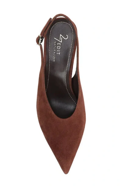 27 Edit Naturalizer Elaine Slingback Pointed Toe Pump In Multi