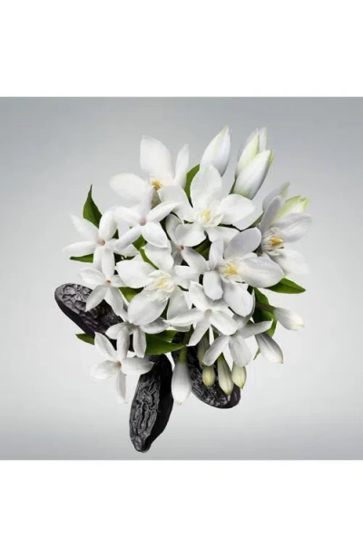 Carolina Herrera Good Girl Bowtastic Collector's Edition Eau De Parfum 2.7/80 Eau De Parfum Spray In Transparent