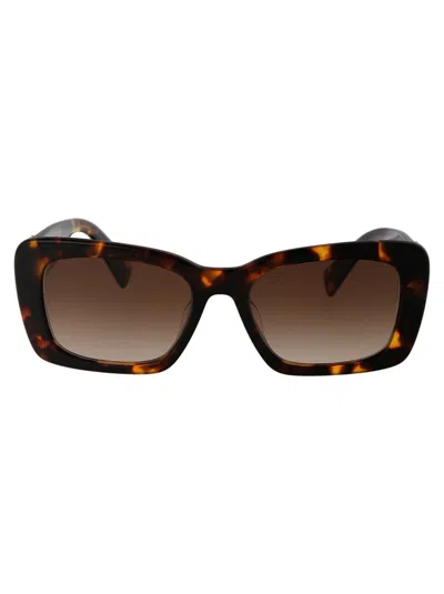 Miu Miu Havana Miele Acetate Sunglasses In Multi