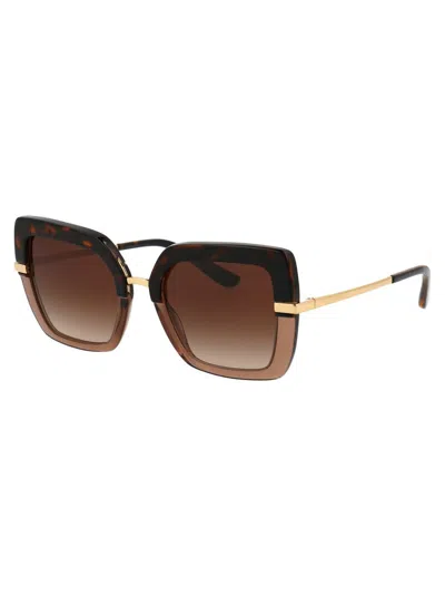 Dolce & Gabbana Havana On Transparent Brown Acetate Sunglasses In Brown