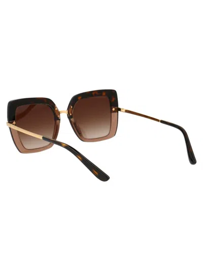 Dolce & Gabbana Havana On Transparent Brown Acetate Sunglasses In Brown