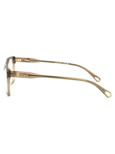 Chloé Green Acetate Optical Glasses In Gold