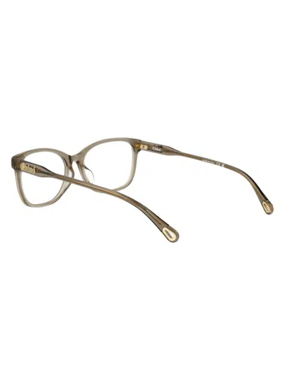 Chloé Green Acetate Optical Glasses In Gold