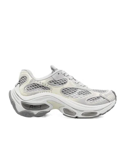 Ash Dragon Sneaker In Gray