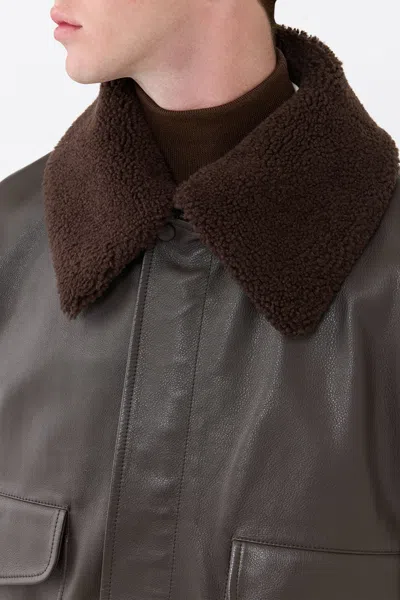 Gabriela Hearst Grant Leather Bomber Jacket With Shearling Collar In Brown