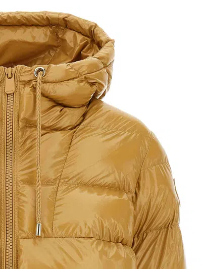 Pinko Nylon Padded Down Jacket In Gold