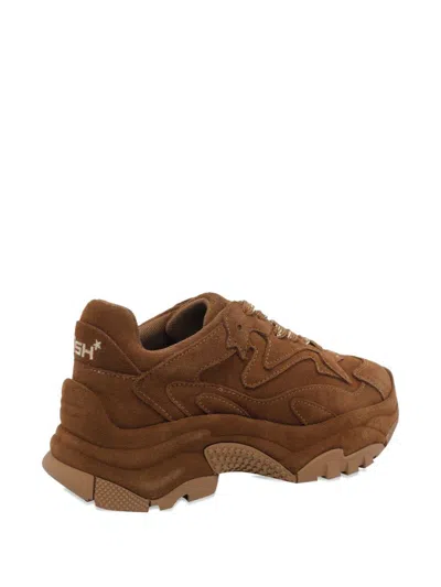 Ash Suede Sneakers With Chunky Sole And Round Toe In Brown