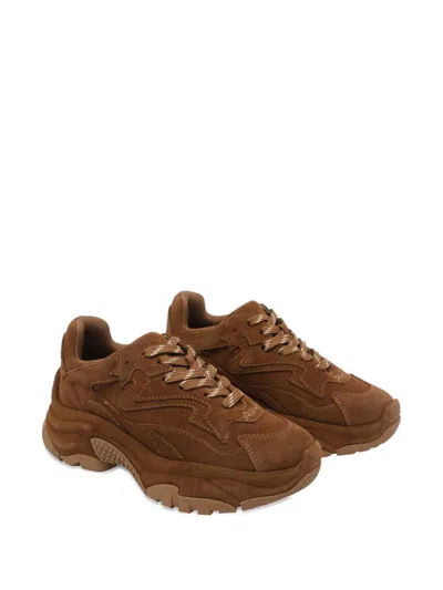 Ash Suede Sneakers With Chunky Sole And Round Toe In Brown