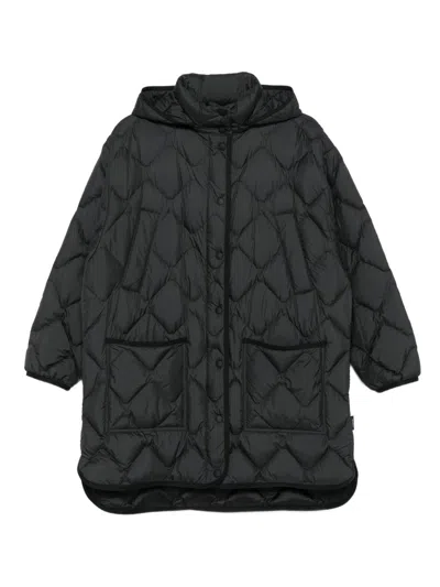Woolrich Black Quilted Hooded Jacket In Black