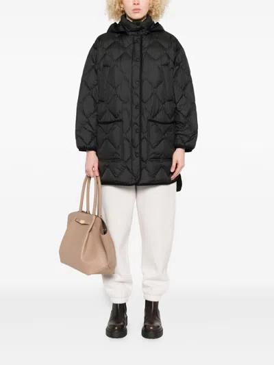 Woolrich Black Quilted Hooded Jacket In Black