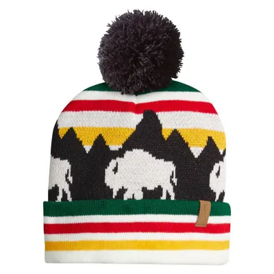 Pendleton Men's Retro Buffalo Beanie In Multi In Black