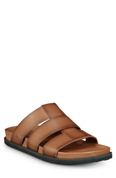 Allen Edmonds Davis Slide Sandal In Animal Print