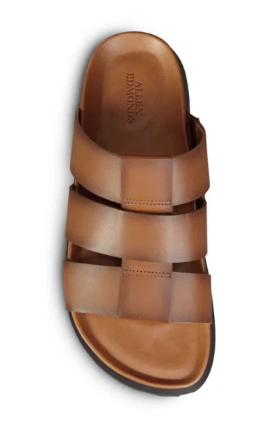 Allen Edmonds Davis Slide Sandal In Animal Print