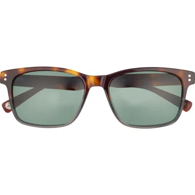 Ted Baker 55mm Polarized Square Sunglasses In Green