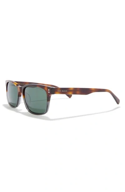 Ted Baker 55mm Polarized Square Sunglasses In Green