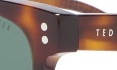 Ted Baker 55mm Polarized Square Sunglasses In Green