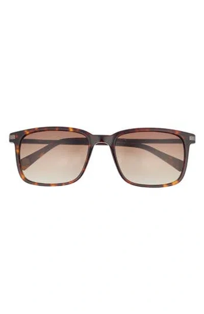 Ted Baker 56mm Polarized Square Sunglasses In Brown