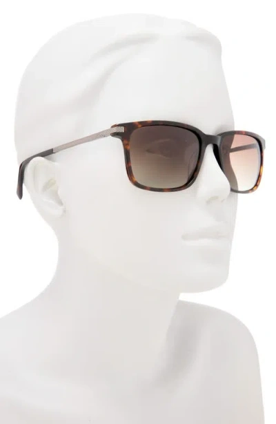Ted Baker 56mm Polarized Square Sunglasses In Brown