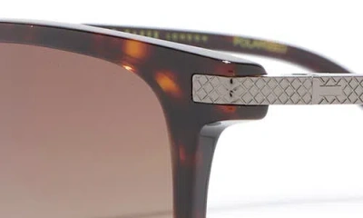 Ted Baker 56mm Polarized Square Sunglasses In Brown