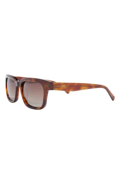 Ted Baker 54mm Polarized Square Sunglasses In Brown