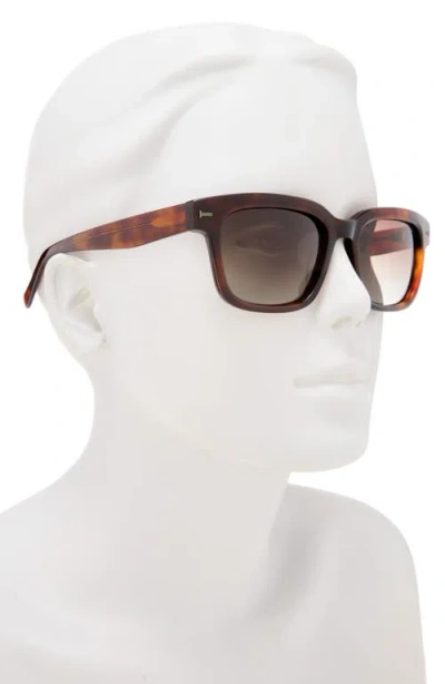 Ted Baker 54mm Polarized Square Sunglasses In Brown