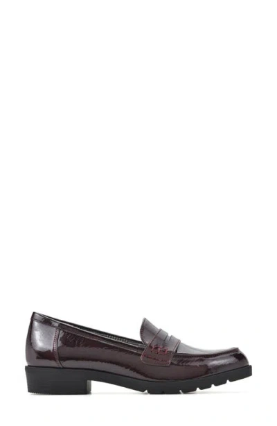 Cliffs By White Mountain Galah Penny Loafer In Brown