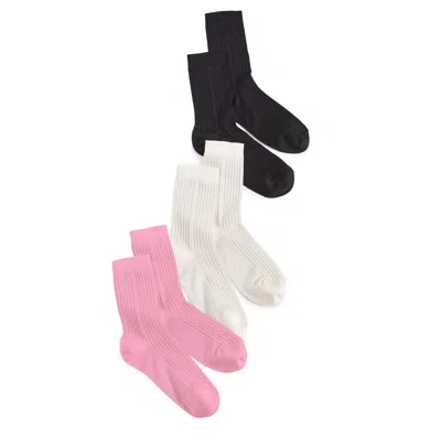 Stems Women's Silky Rib Crew Socks Box Of Three In Multi