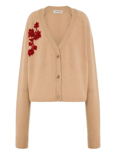 Alberta Ferretti V-neck Long Sleeve Knitwear Embroidered Detail In Neutral
