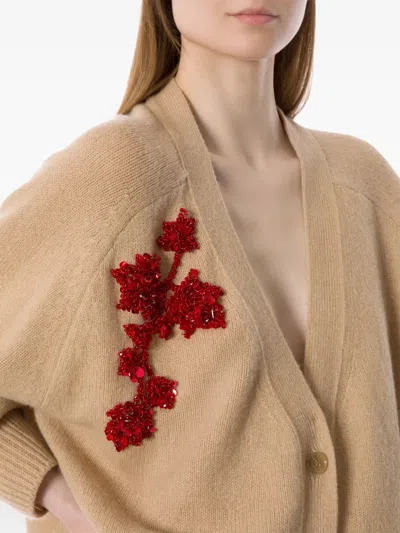 Alberta Ferretti V-neck Long Sleeve Knitwear Embroidered Detail In Neutral