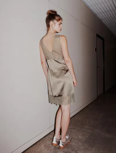 Marella Lace-insert Dress In Neutral