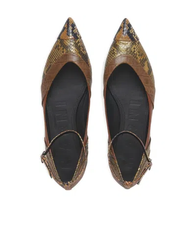 Marni Pointed-toe Ballet Flats With Ankle Strap In Multi