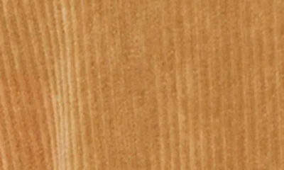 Mm By Max Mara Labile Cotton Blend Corduroy Jacket In Brown