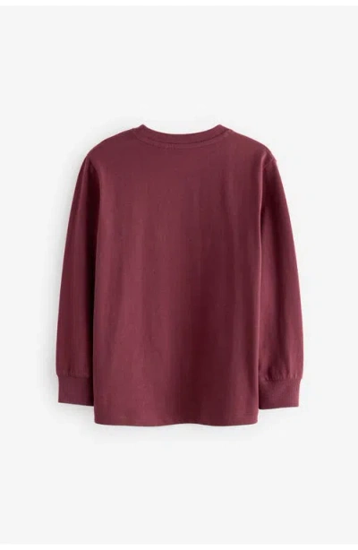 Next Kids' Assorted 4-pack Long Sleeve T-shirts In Multi