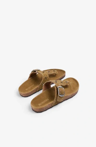 Scalpers Bio T Studs Sandal In Multi